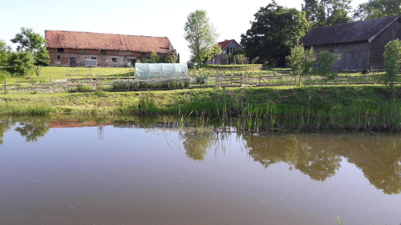 Blanki Siedlisko Agroturystyczne Jestem Lidzbark Warmiński Exterior foto